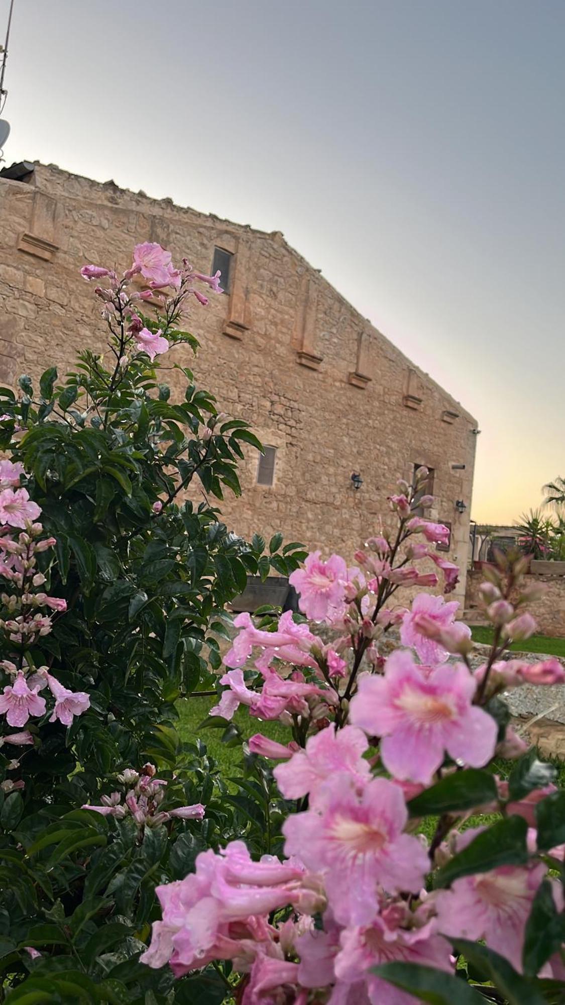 Masseria Boscorotondo Scicli Exteriör bild
